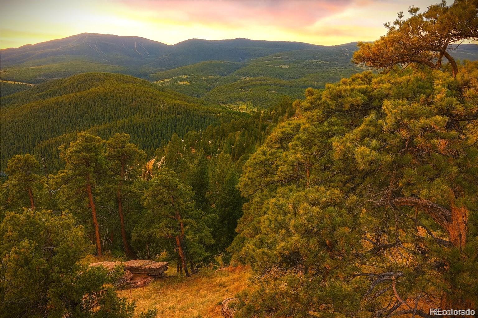 32553 Lodgepole Circle Evergreen CO 80439