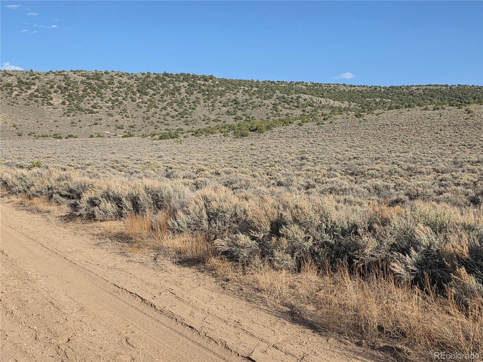 Charro Lane San Luis CO 81152