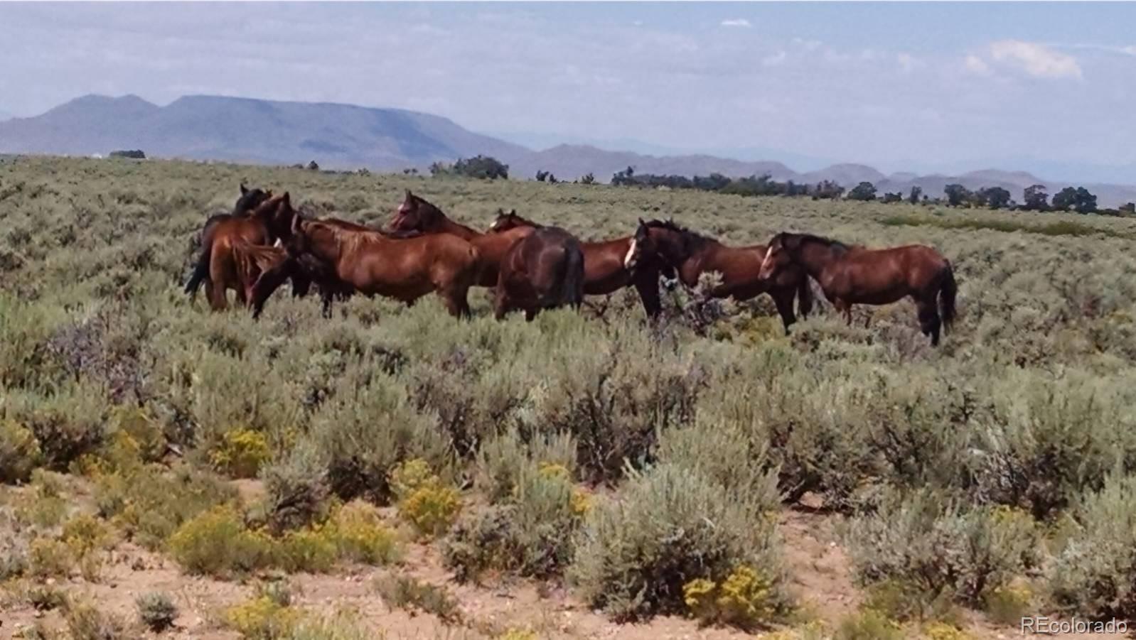 Charro Lane San Luis CO 81152
