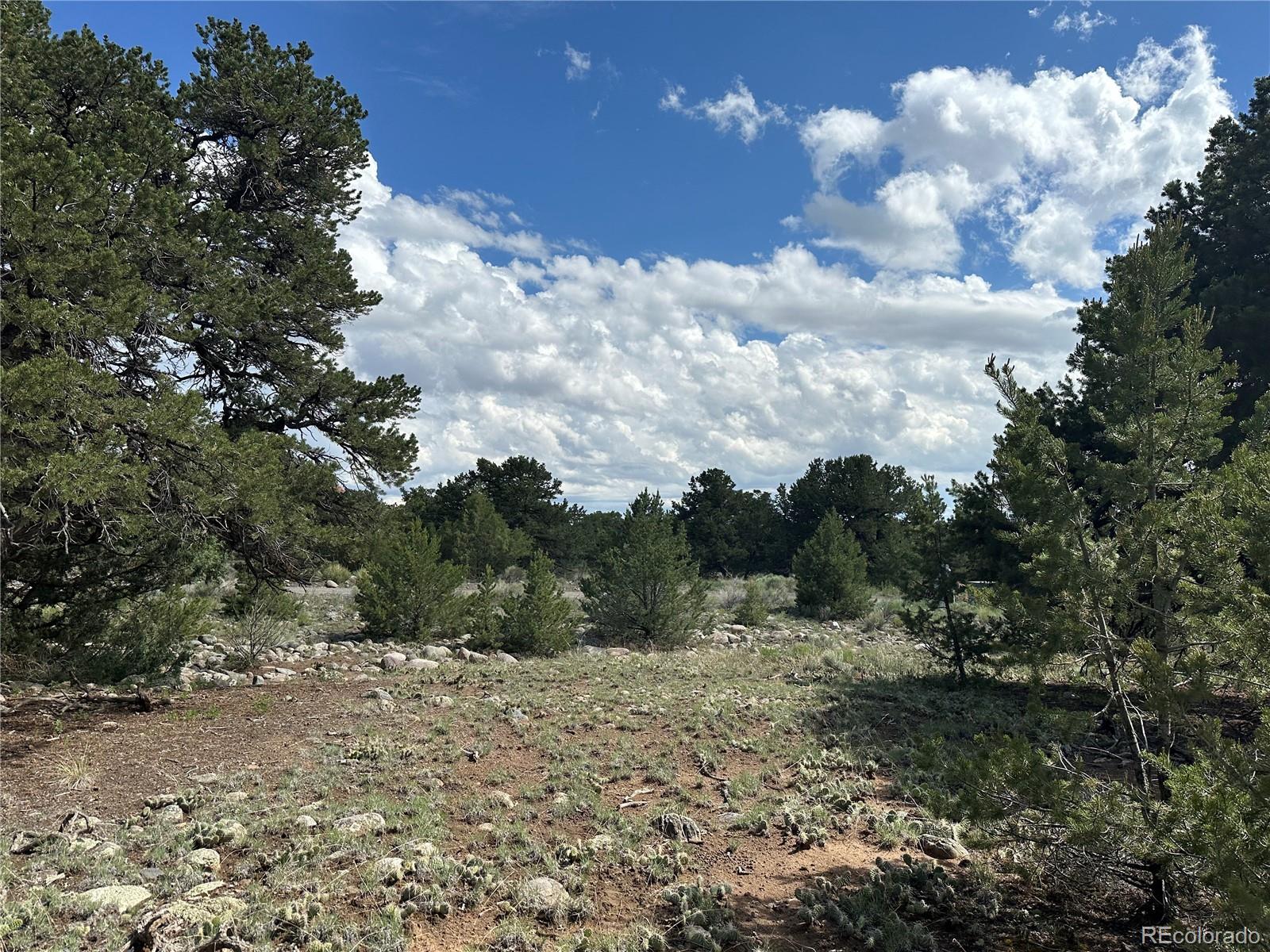 3694 Enchanted Way Crestone CO 81131