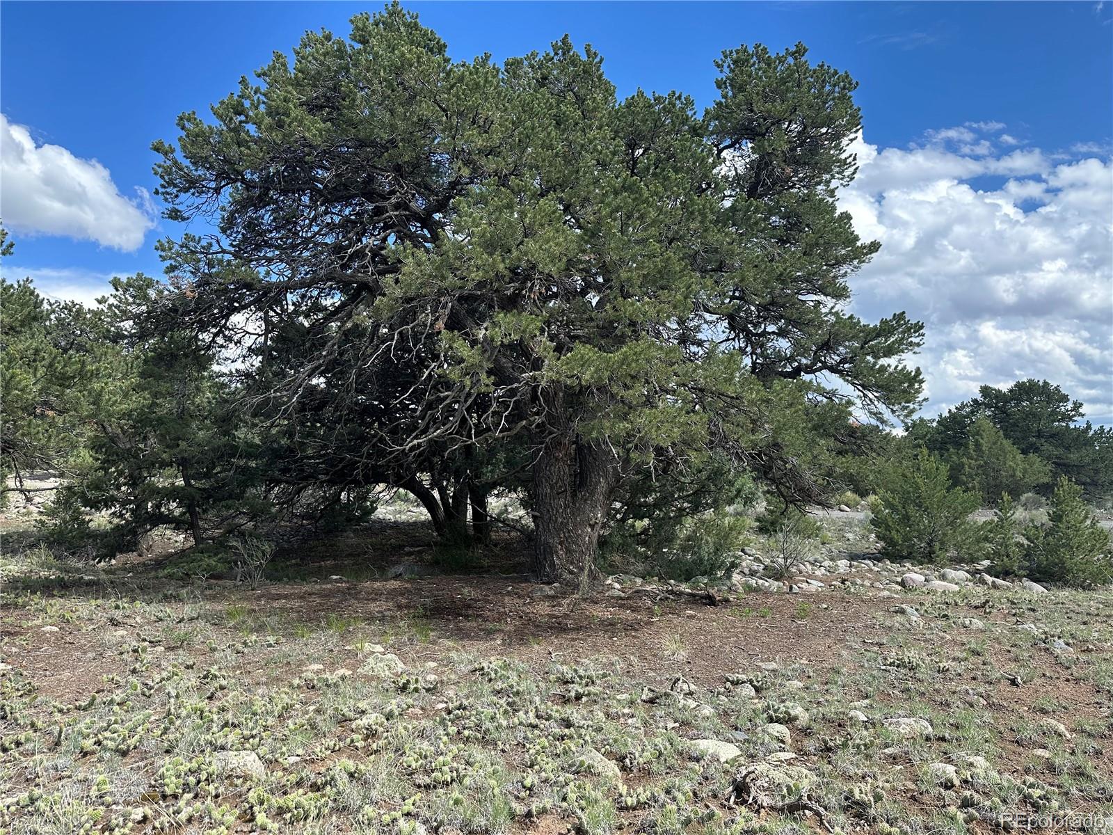 3694 Enchanted Way Crestone CO 81131