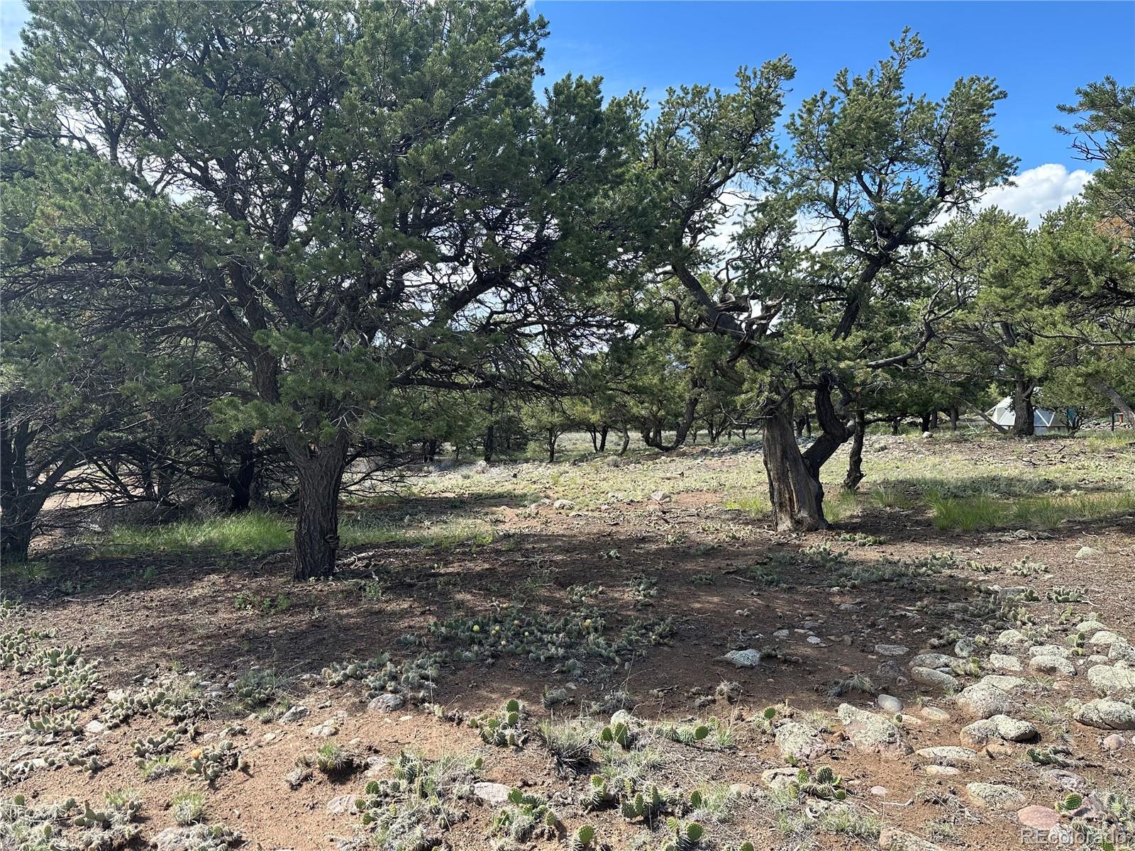 3694 Enchanted Way Crestone CO 81131