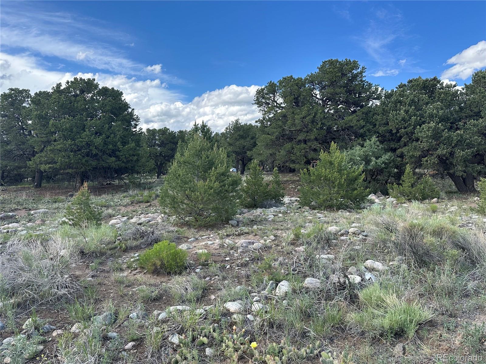 3694 Enchanted Way Crestone CO 81131