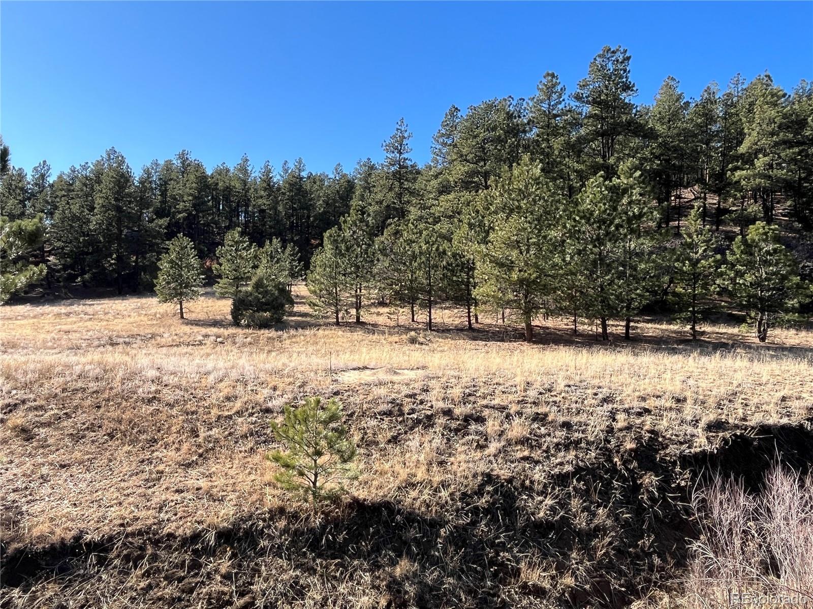 San Pablo Canyon Lot 6 Weston CO 81091