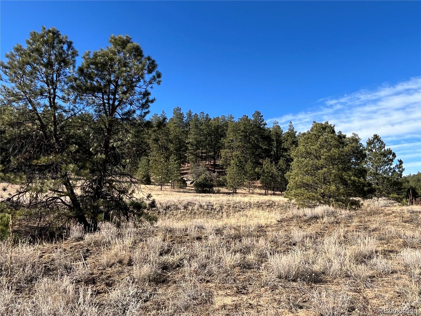 San Pablo Canyon Lot 6 Weston CO 81091