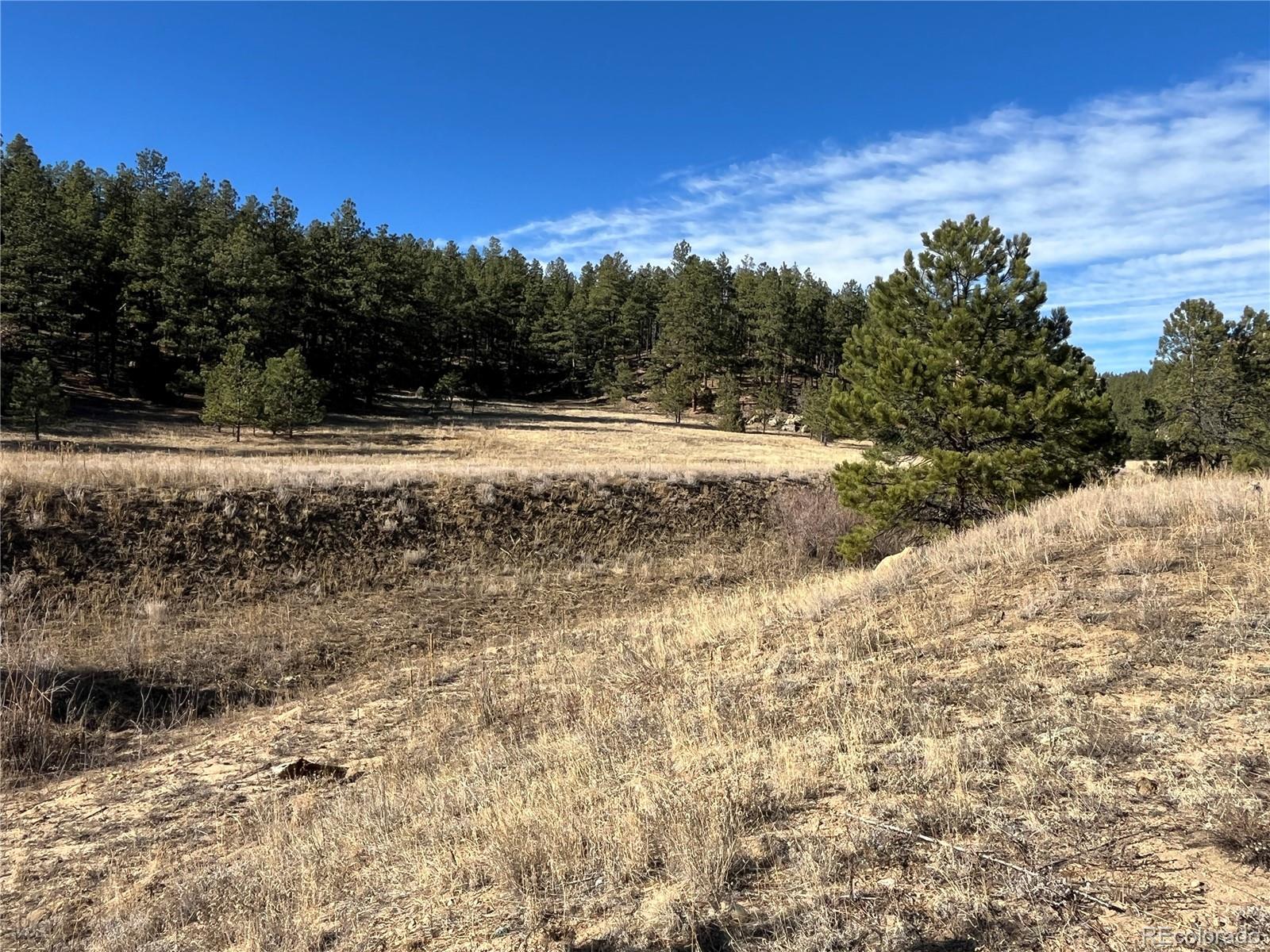 San Pablo Canyon Lot 6 Weston CO 81091