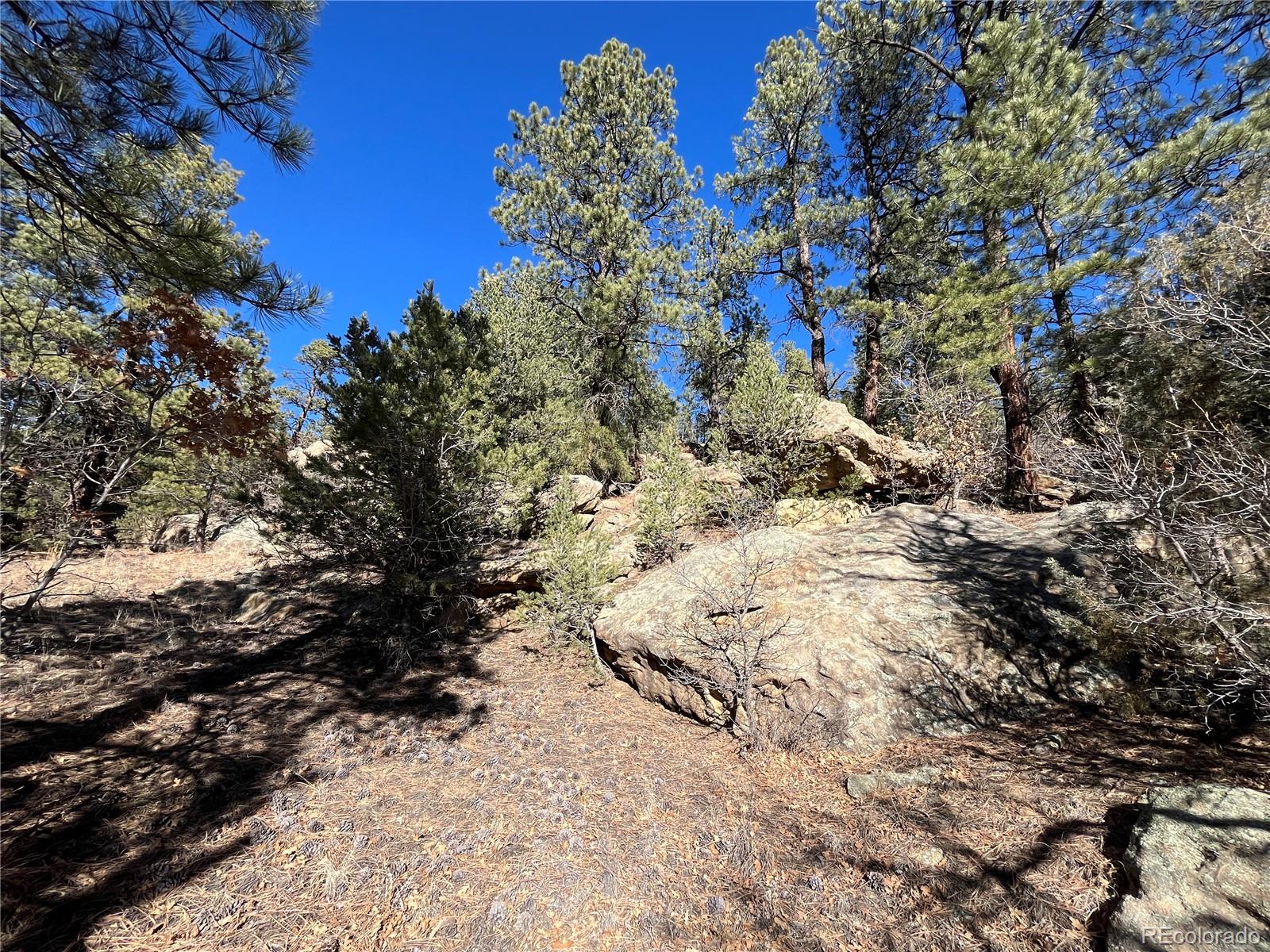 San Pablo Canyon Lot 6 Weston CO 81091