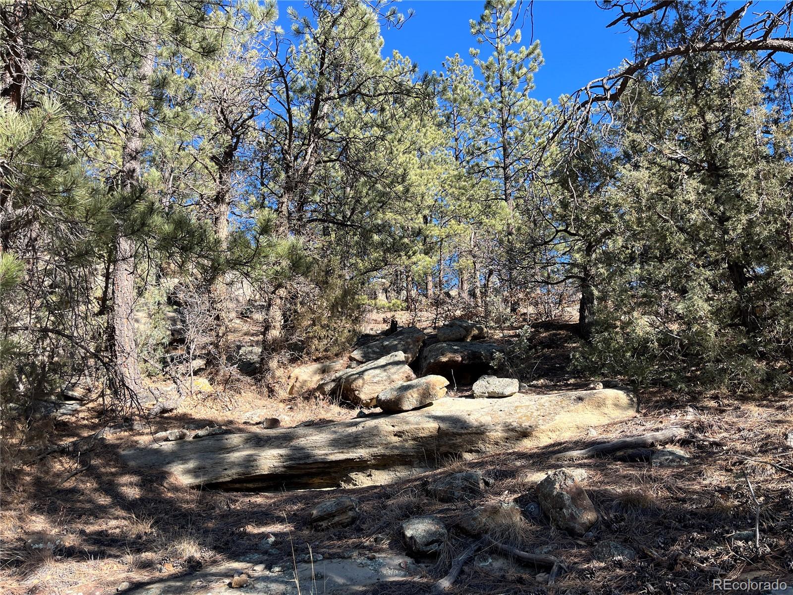 San Pablo Canyon Lot 6 Weston CO 81091