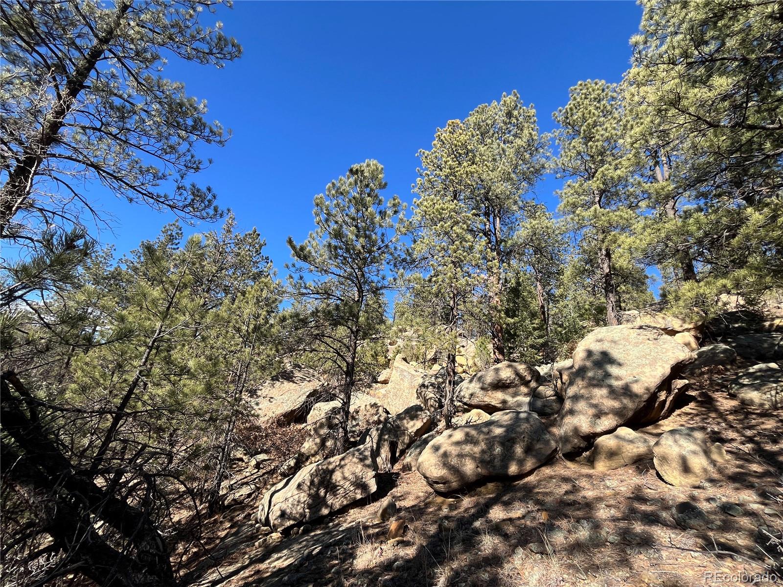 San Pablo Canyon Lot 6 Weston CO 81091
