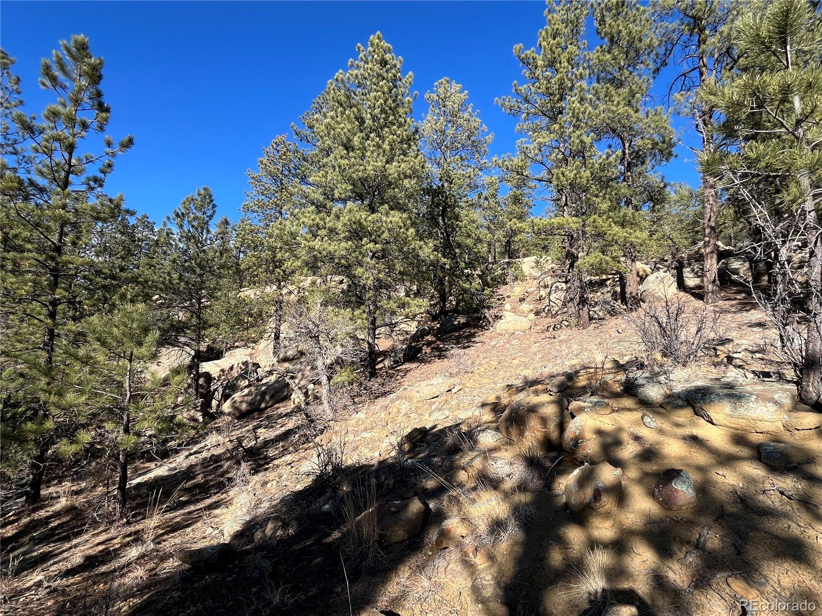 San Pablo Canyon Lot 6 Weston CO 81091