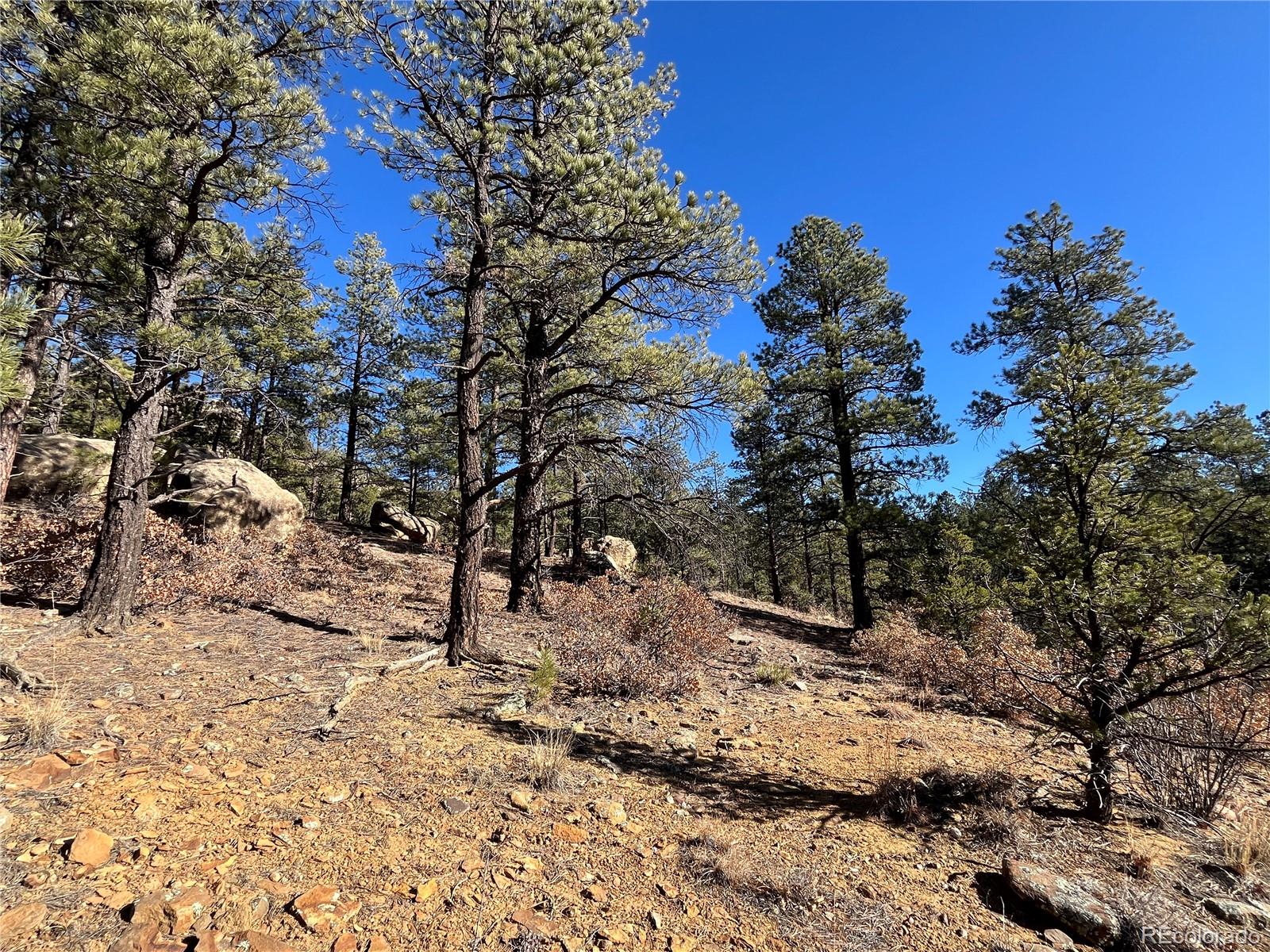San Pablo Canyon Lot 6 Weston CO 81091