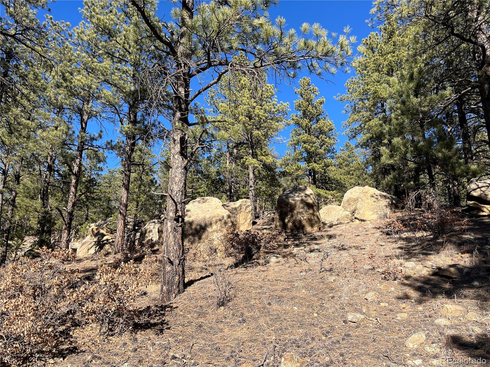 San Pablo Canyon Lot 6 Weston CO 81091