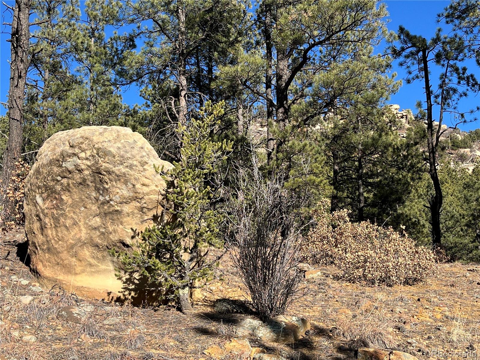 San Pablo Canyon Lot 6 Weston CO 81091