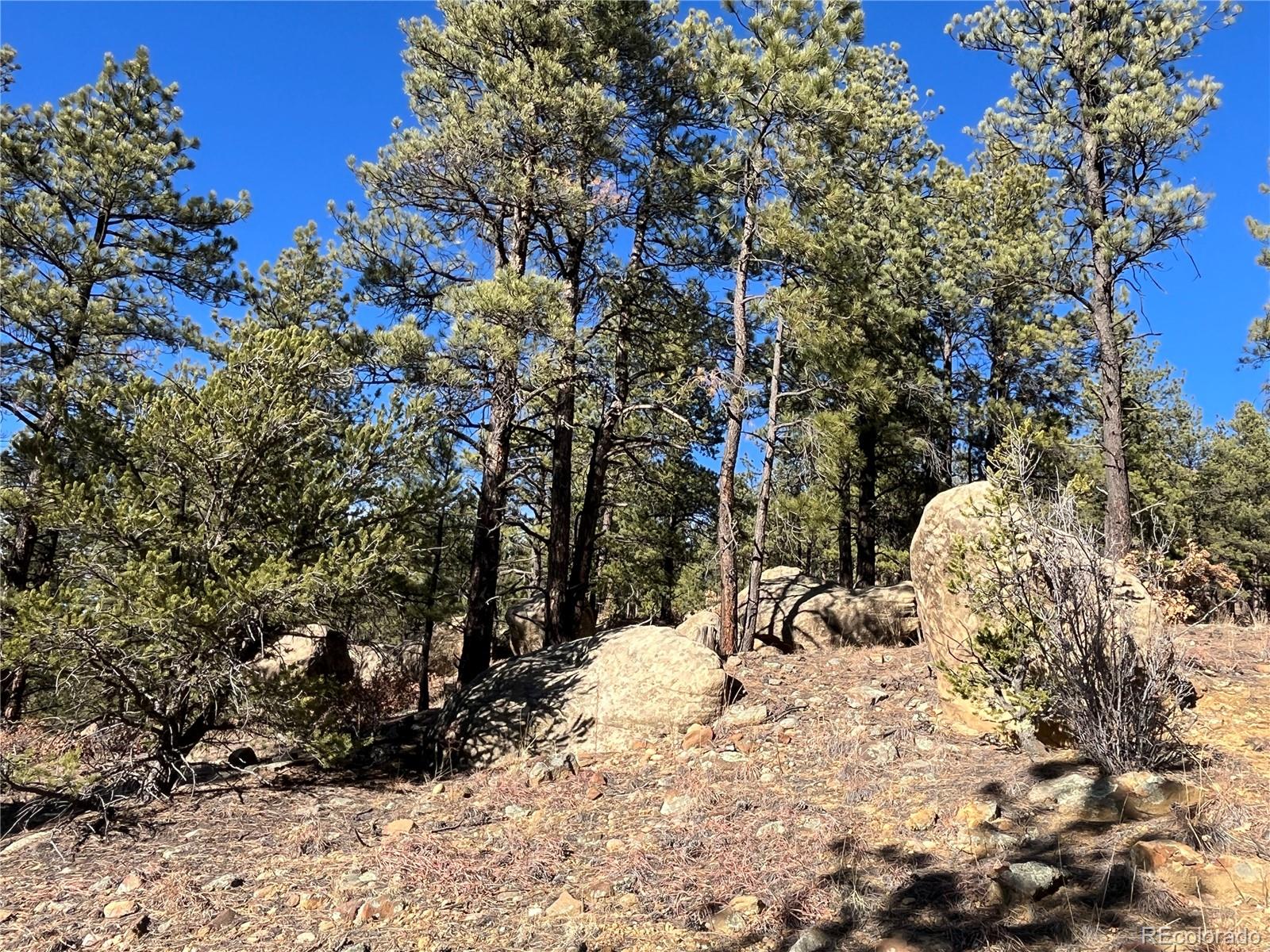 San Pablo Canyon Lot 6 Weston CO 81091