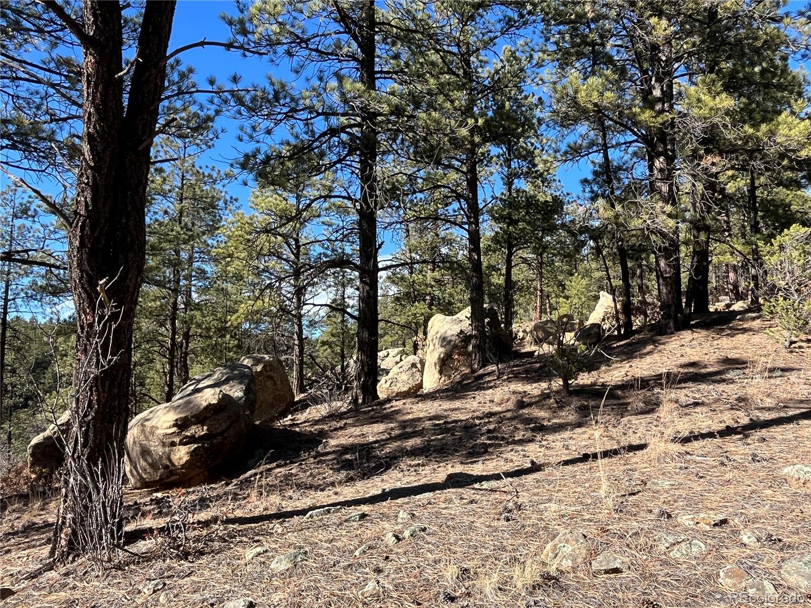 San Pablo Canyon Lot 6 Weston CO 81091