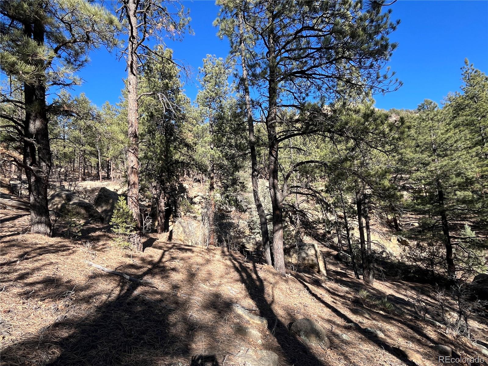 San Pablo Canyon Lot 6 Weston CO 81091