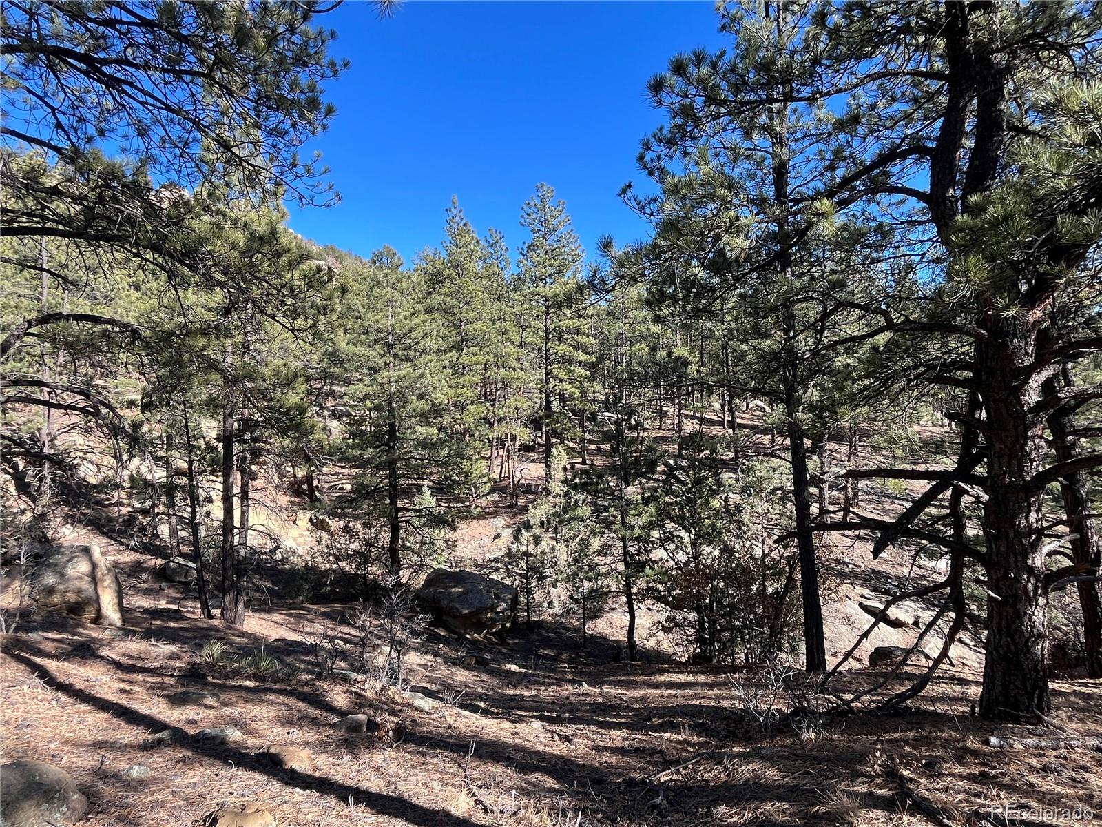 San Pablo Canyon Lot 6 Weston CO 81091
