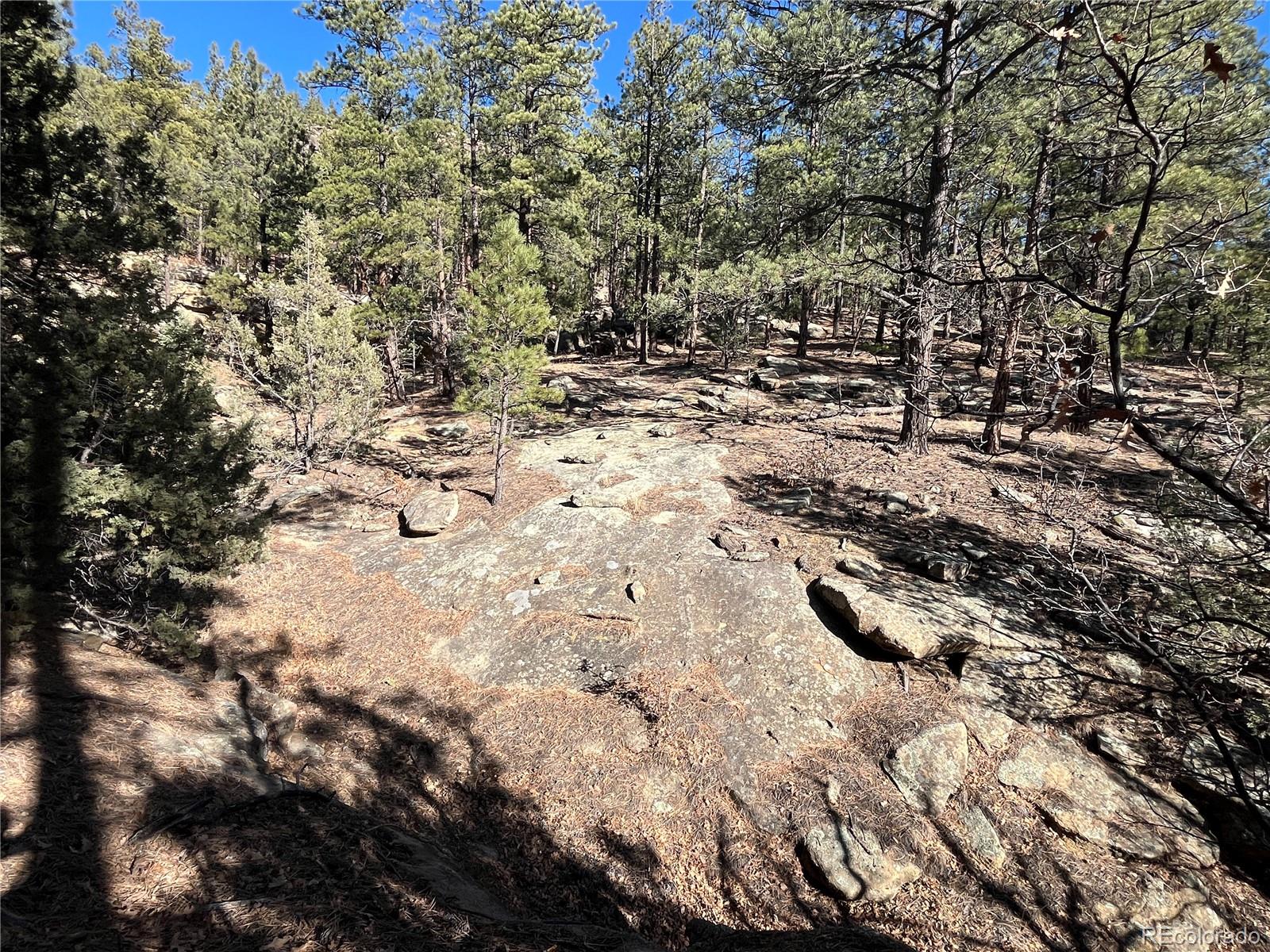 San Pablo Canyon Lot 6 Weston CO 81091