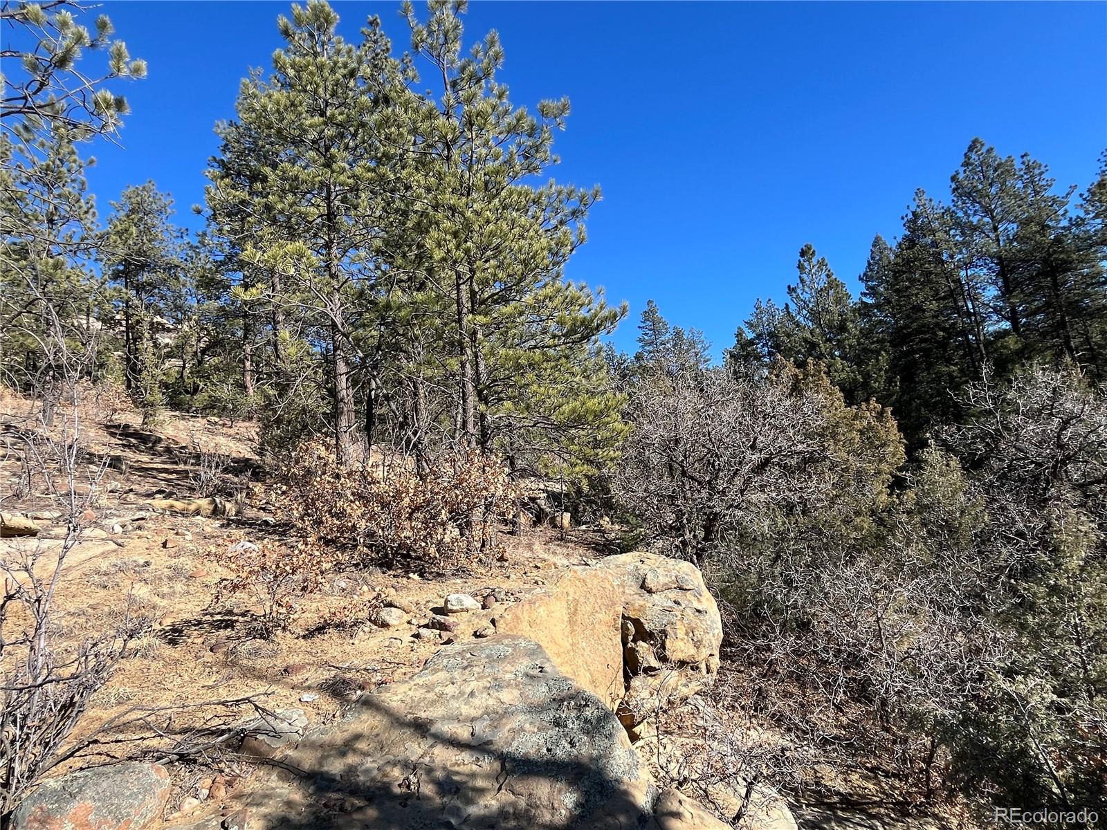 San Pablo Canyon Lot 6 Weston CO 81091