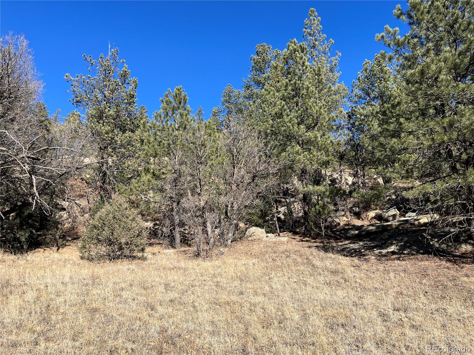 San Pablo Canyon Lot 6 Weston CO 81091