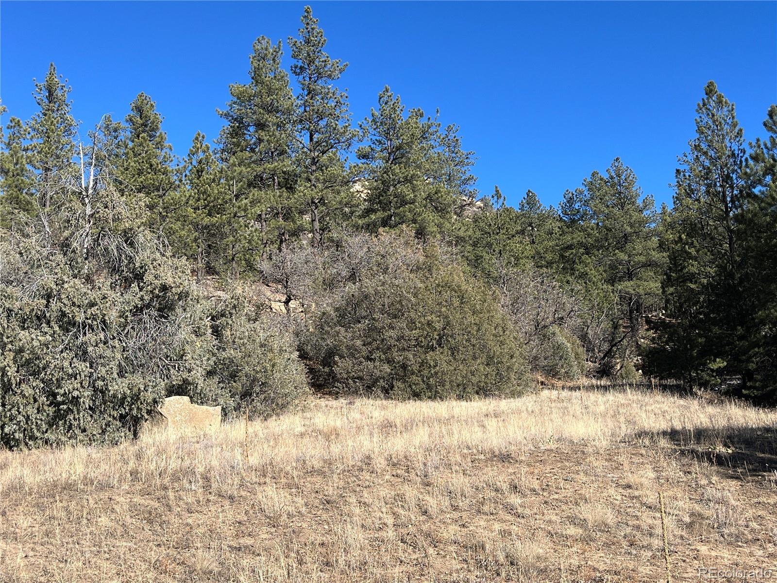 San Pablo Canyon Lot 6 Weston CO 81091