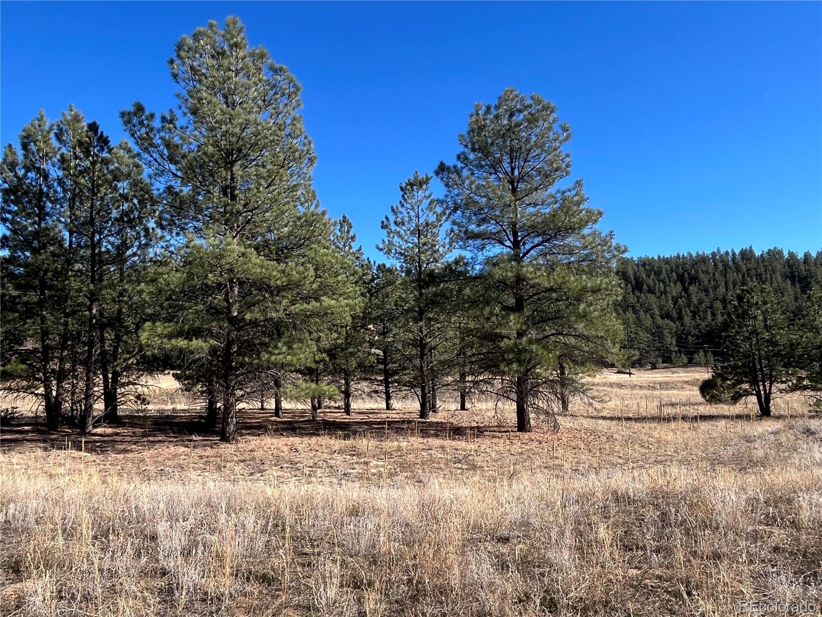 San Pablo Canyon Lot 6 Weston CO 81091