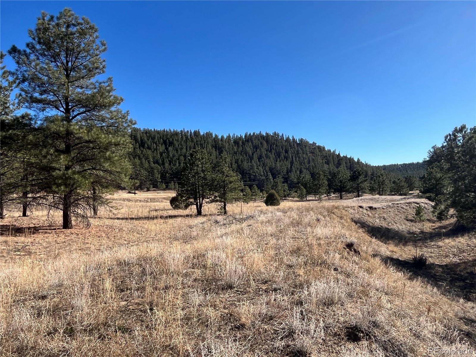 San Pablo Canyon Lot 6 Weston CO 81091