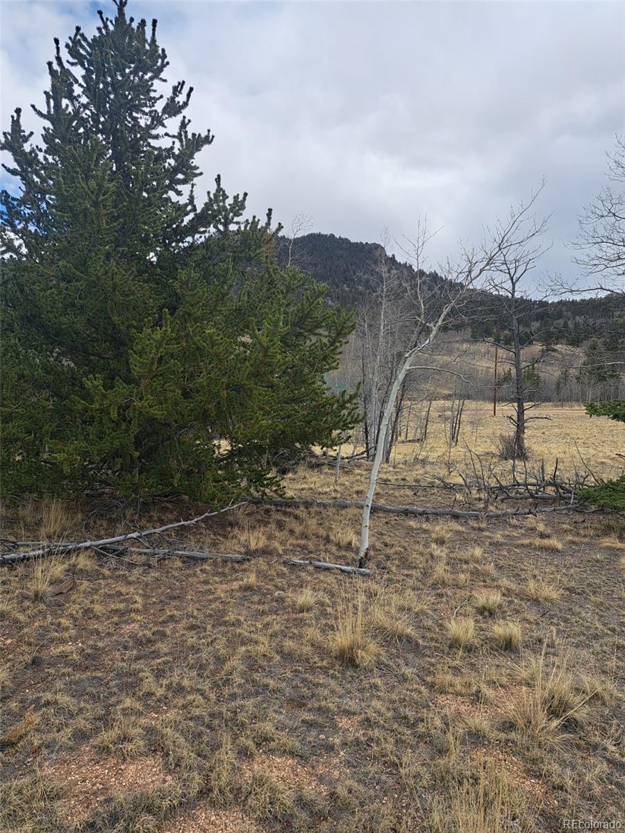 000 Kiowa Street Como CO 80432