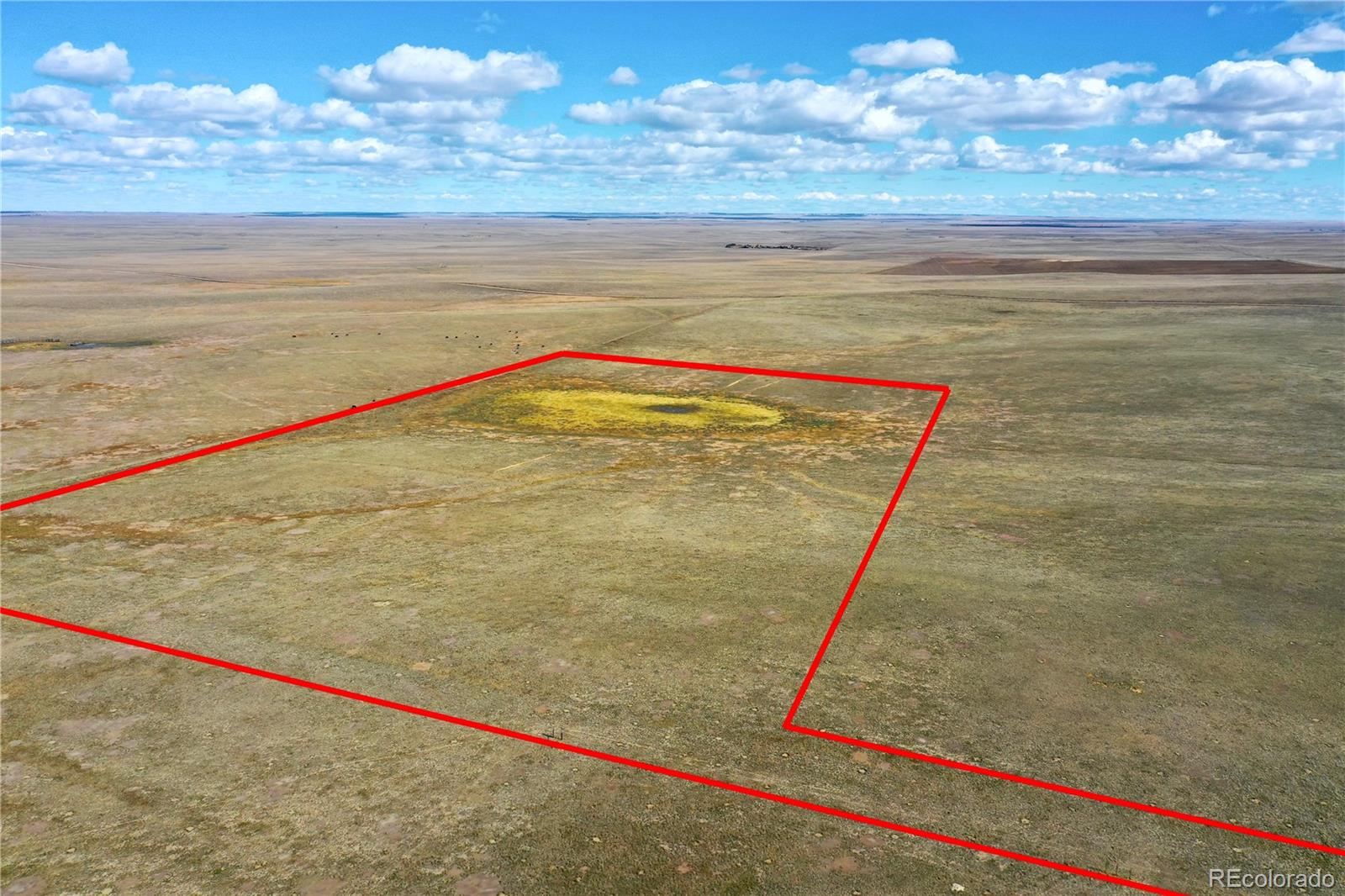 0000 County Road 108 Eaton CO 80615