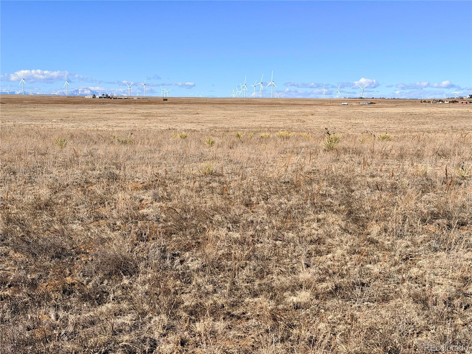 9320 Mulberry Road Calhan CO 80808