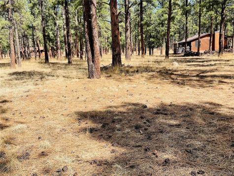 BLK2 Lot 7 Weston CO 81091
