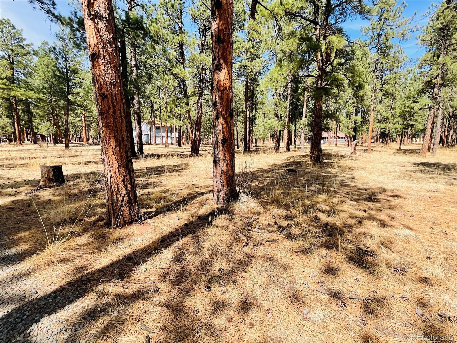BLK2 Lot 7 Weston CO 81091
