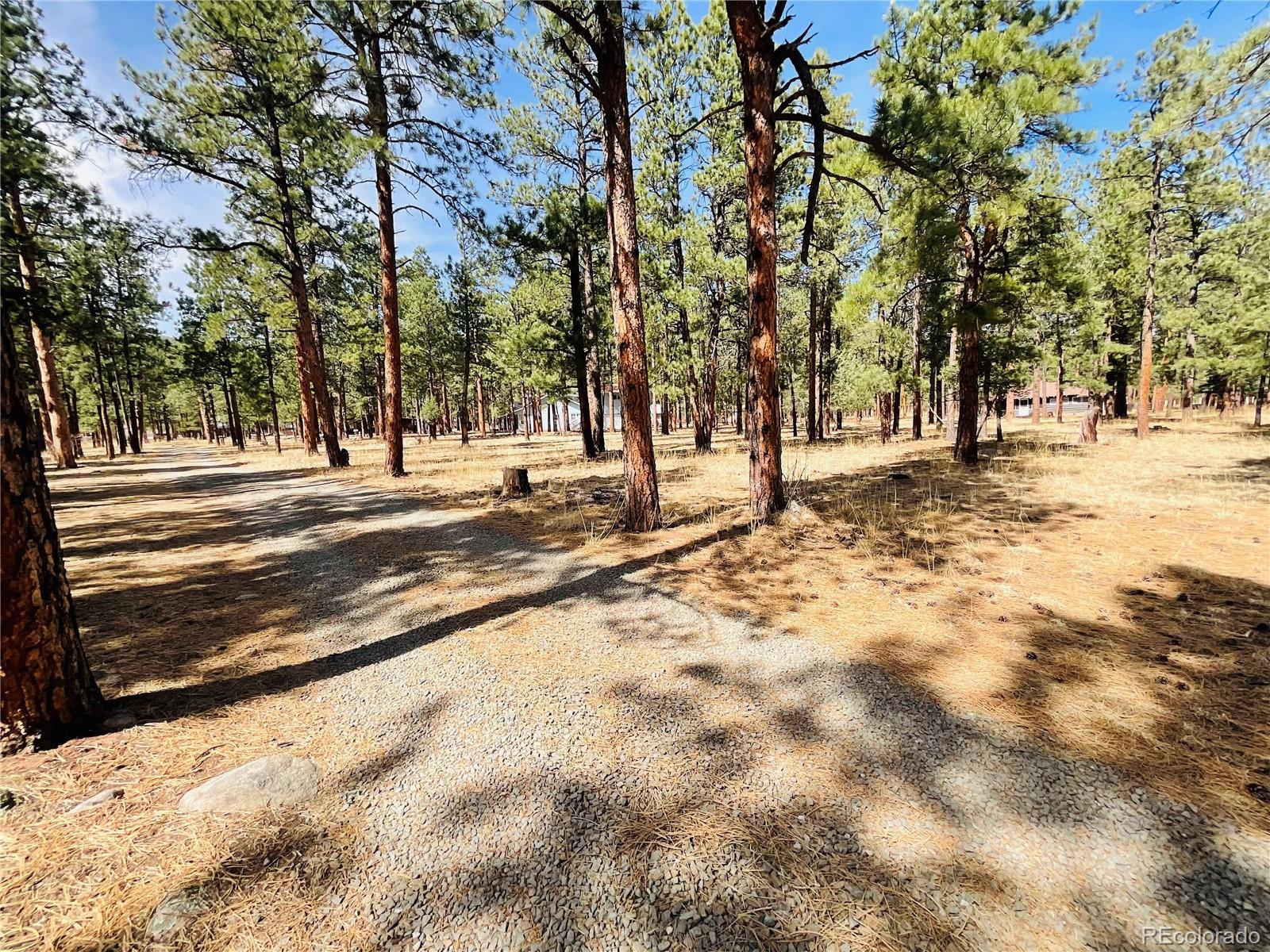 BLK2 Lot 7 Weston CO 81091