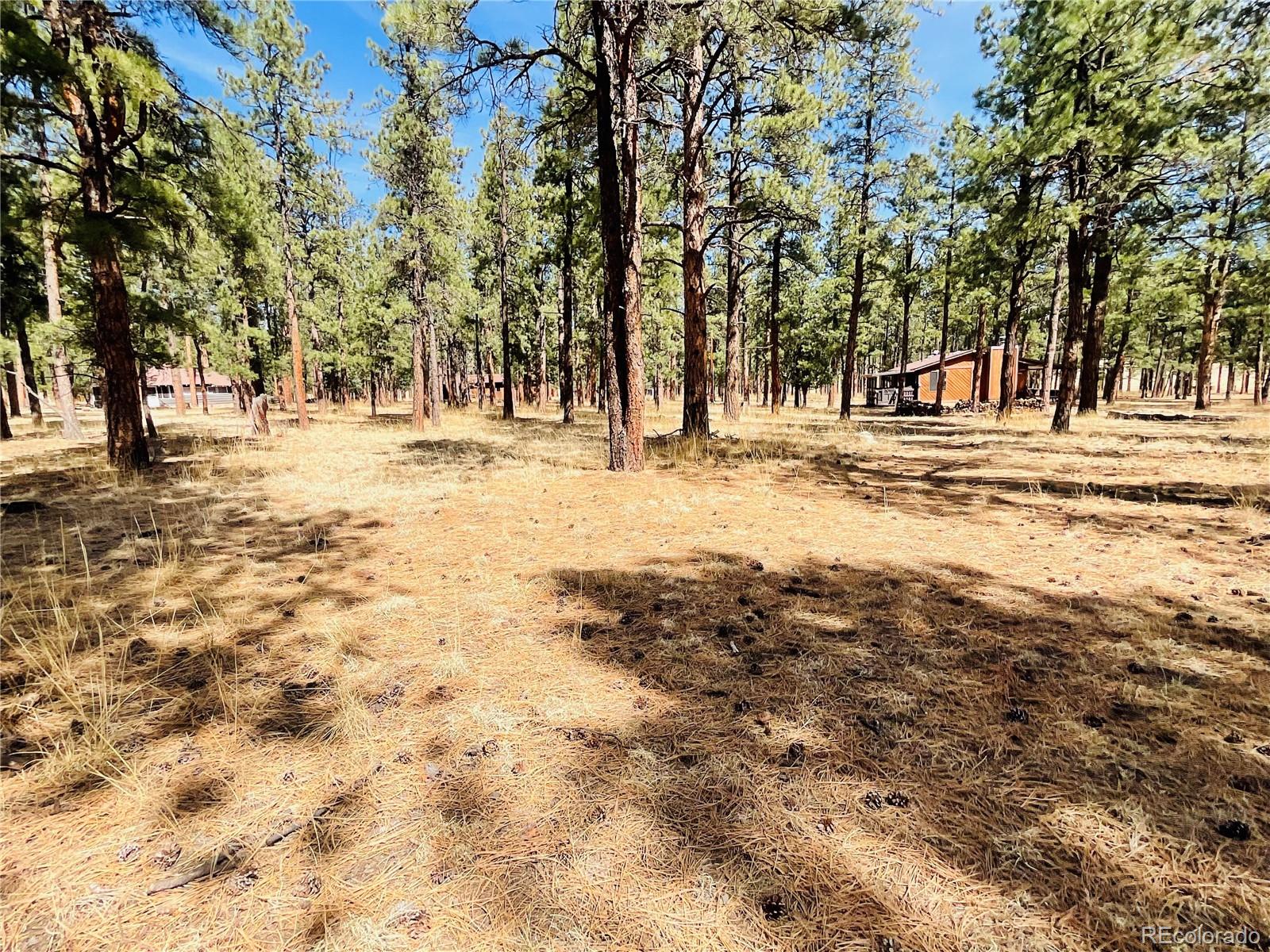 BLK2 Lot 7 Weston CO 81091