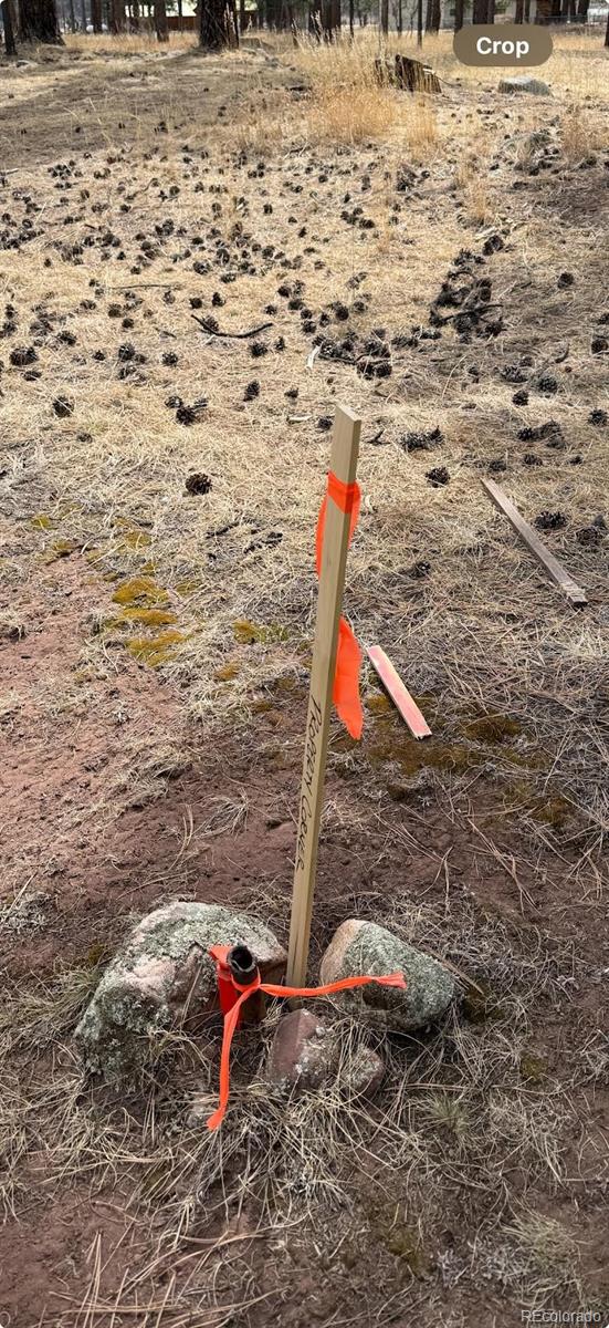 BLK2 Lot 7 Weston CO 81091