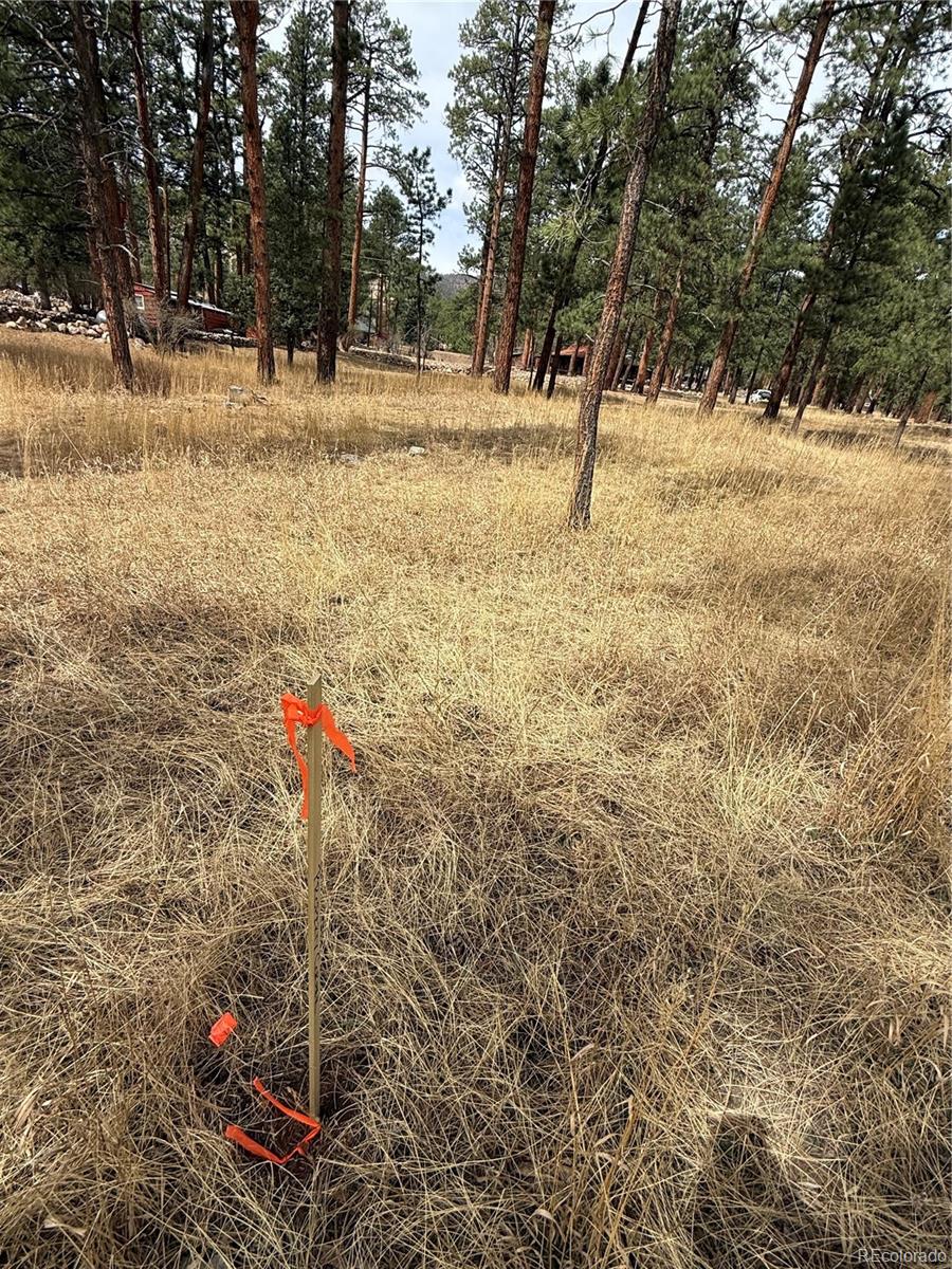 BLK2 Lot 7 Weston CO 81091