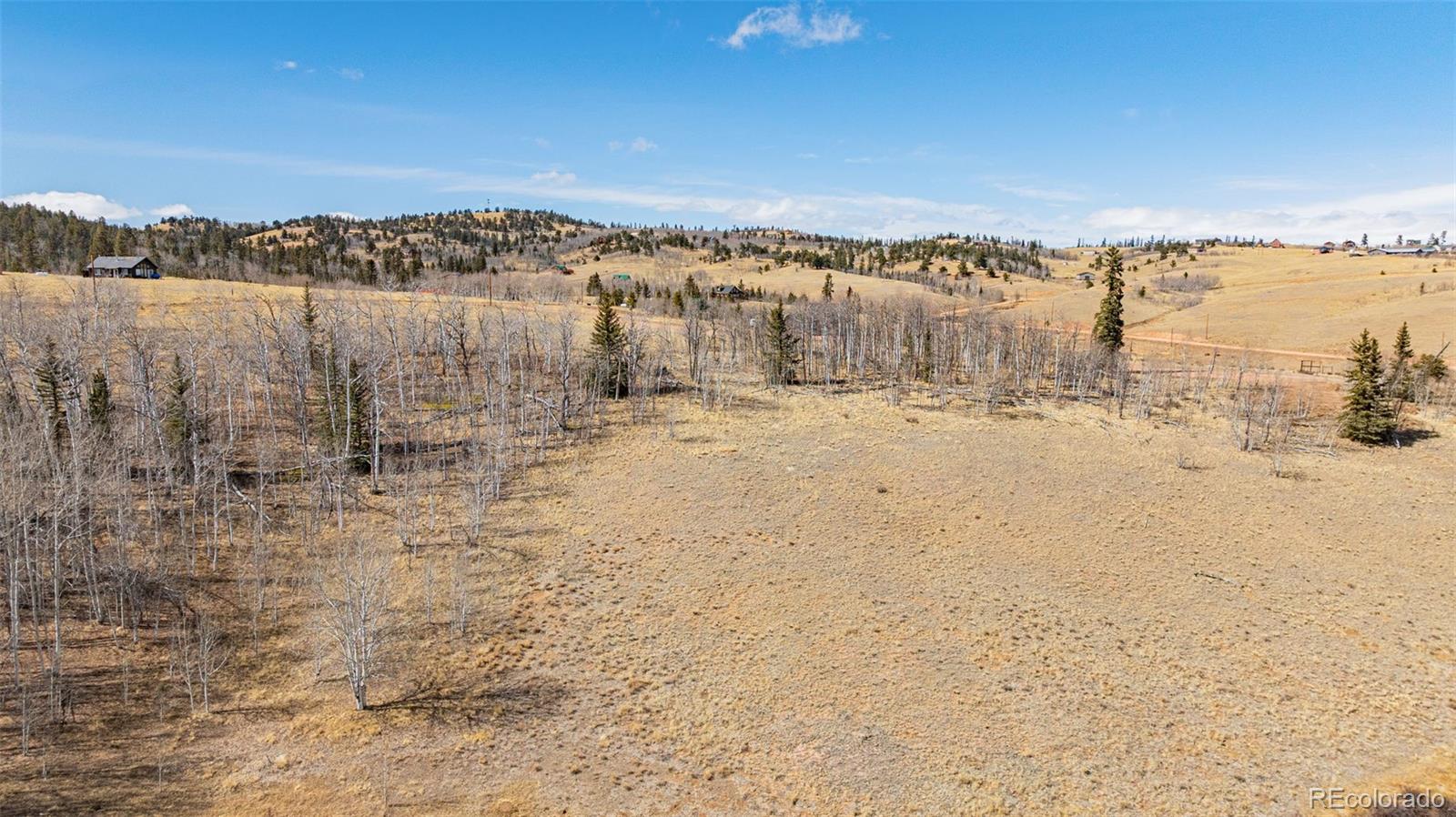 600 Pronghorn Jefferson CO 80456