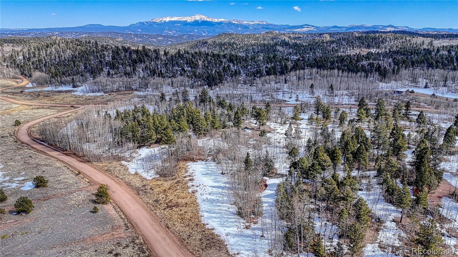 654 Aspen Way Drive Florissant CO 80816