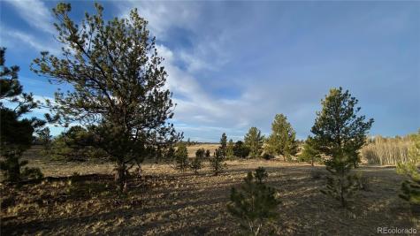415 Olympic Circle Hartsel CO 80449