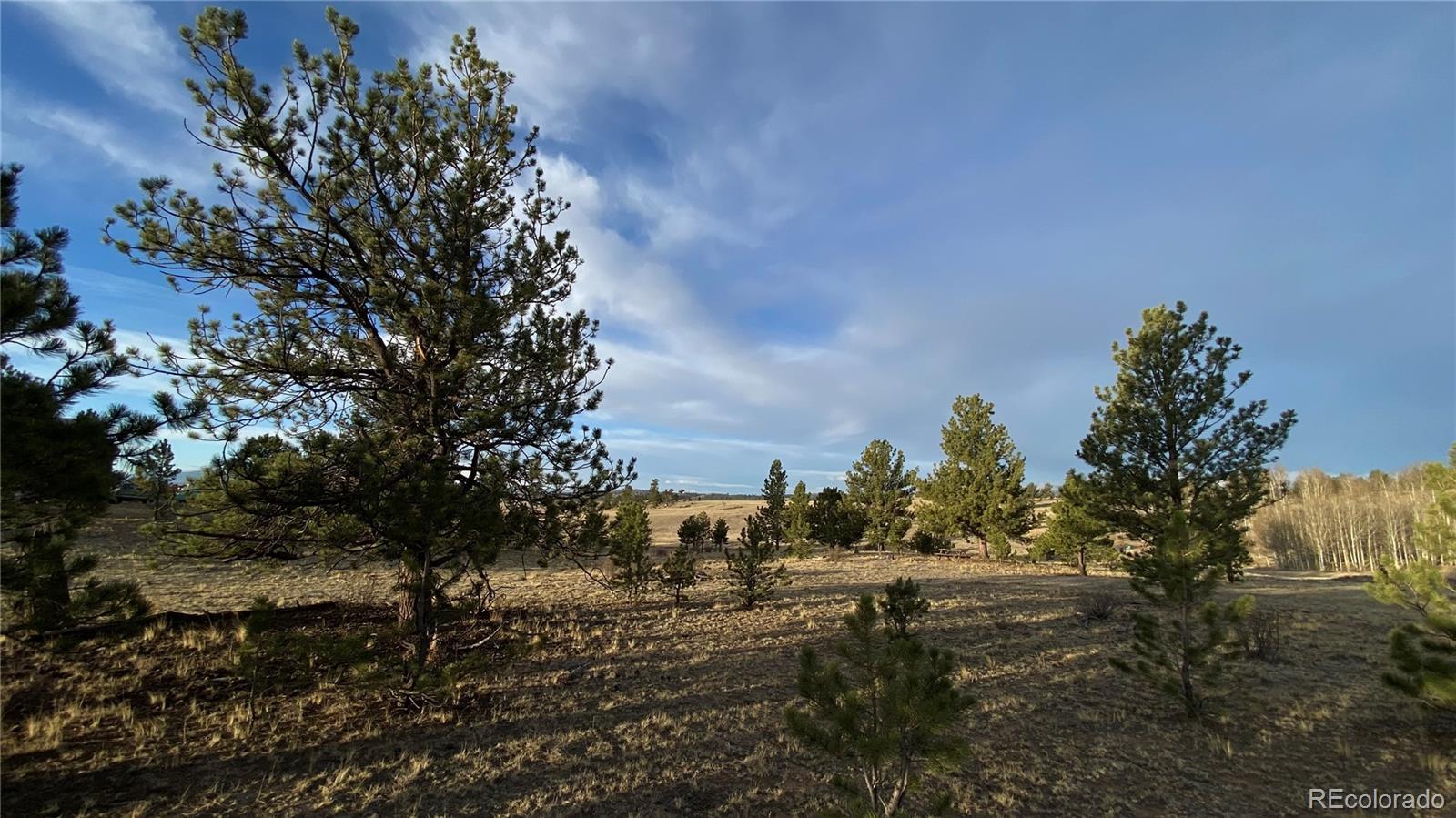 415 Olympic Circle Hartsel CO 80449