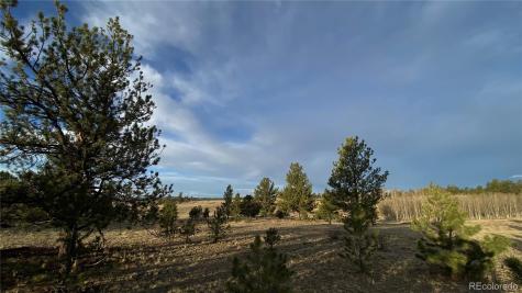 415 Olympic Circle Hartsel CO 80449