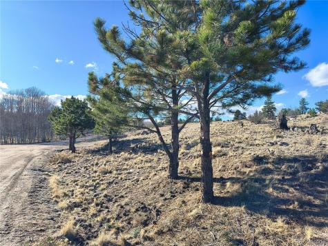 415 Olympic Circle Hartsel CO 80449