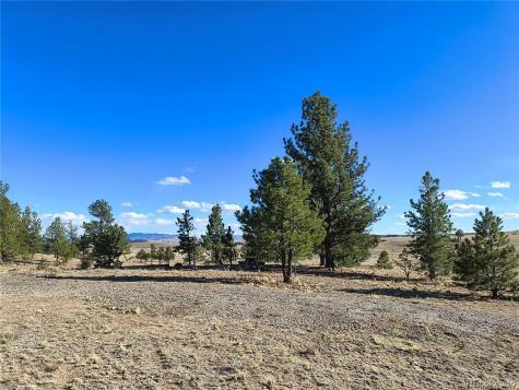 415 Olympic Circle Hartsel CO 80449
