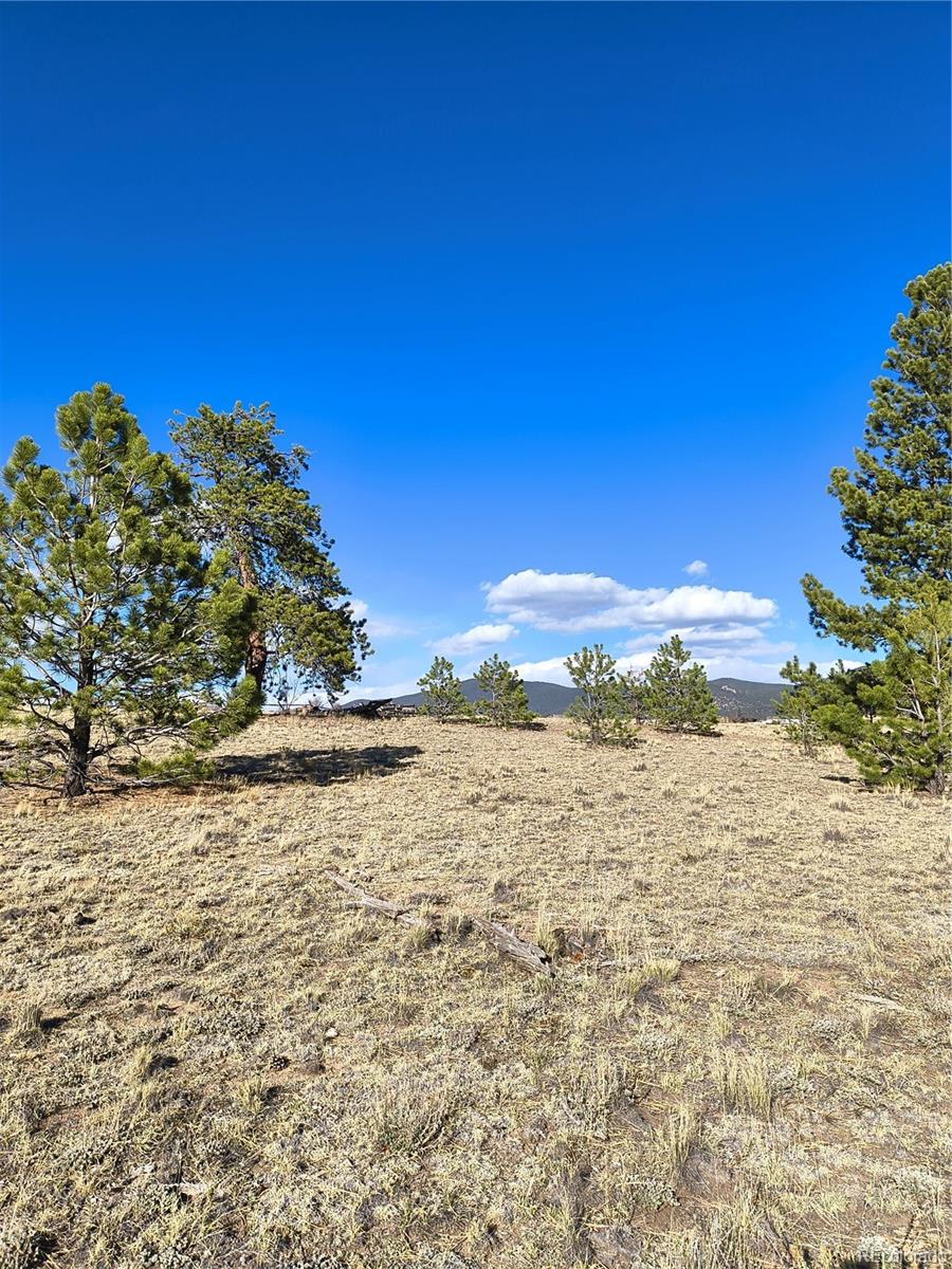 415 Olympic Circle Hartsel CO 80449