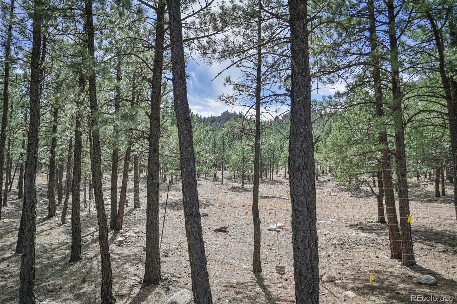 Stonewall Meadows Road Weston CO 81091