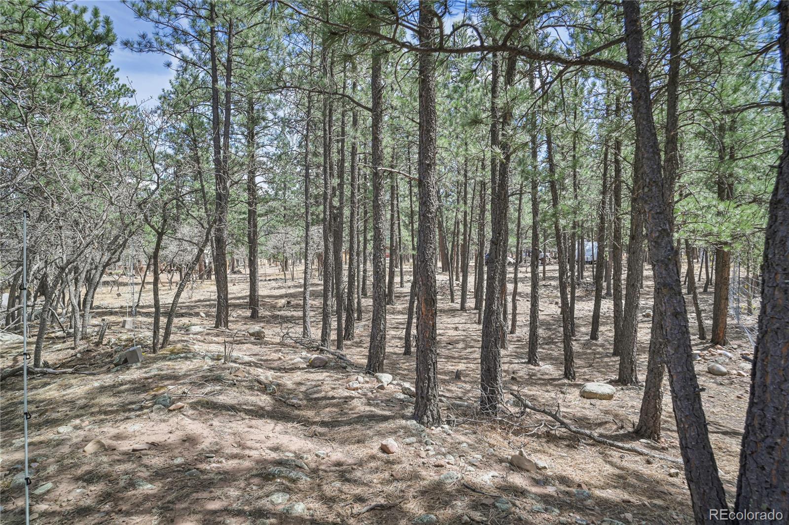 Stonewall Meadows Road Weston CO 81091