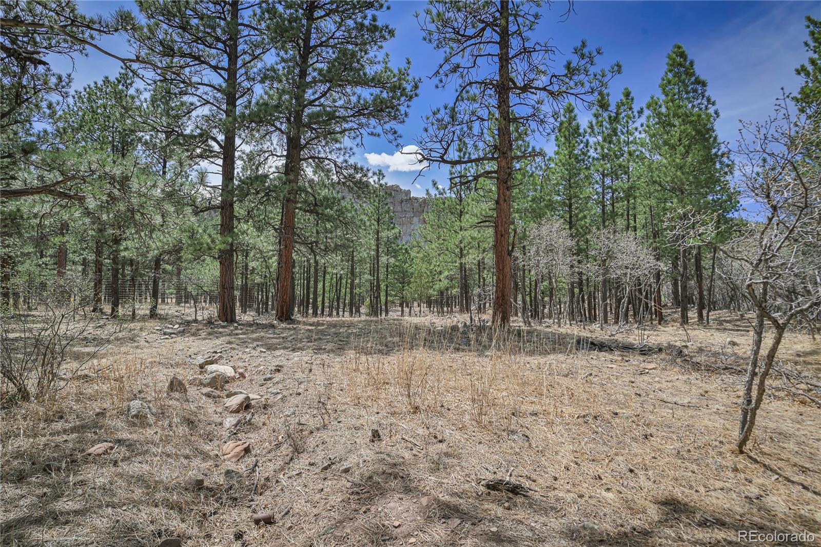 Stonewall Meadows Road Weston CO 81091