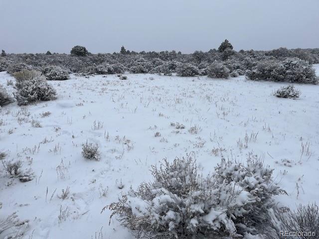 33 Mesa Drive E San Luis CO 81152