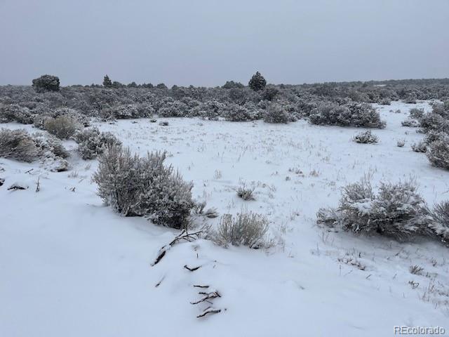 33 Mesa Drive E San Luis CO 81152