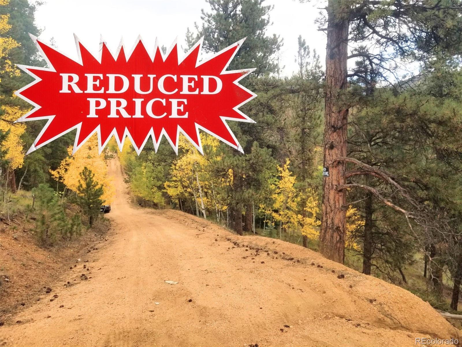 342 & 366 Brown Street Bailey CO 80421